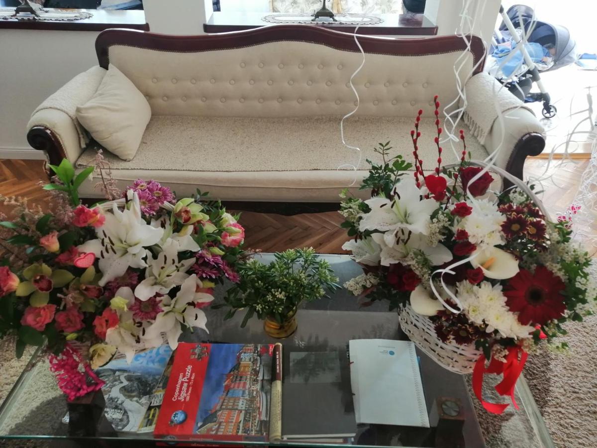 D'amore Montenegro Villa